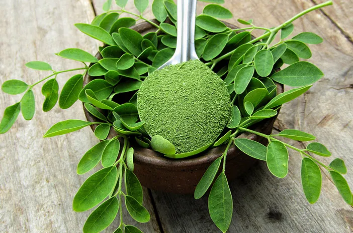 10 Tanaman Herbal yang Bisa Dukung Kesehatan Tulang